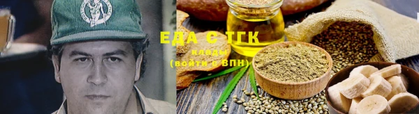 шишки Ельня