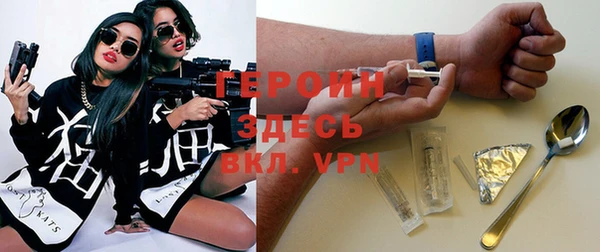 шишки Ельня