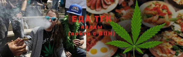 шишки Ельня