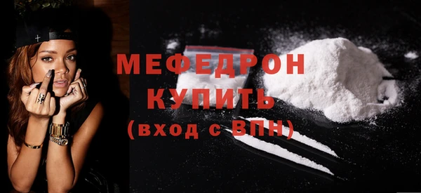 шишки Ельня