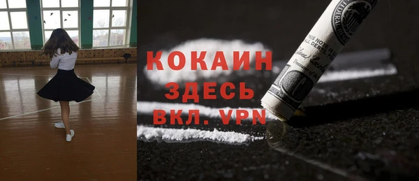 шишки Елабуга