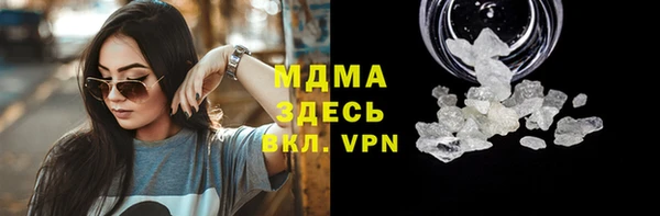 шишки Ельня
