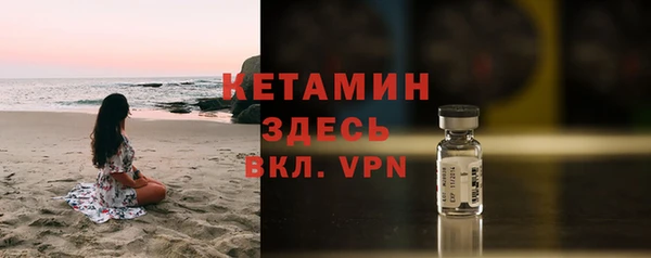 шишки Ельня