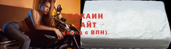 шишки Ельня