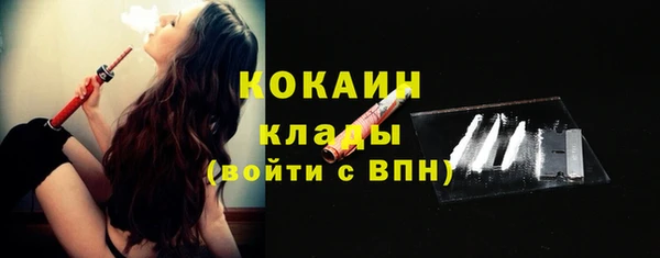 шишки Елабуга