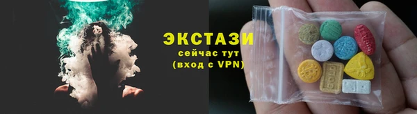 шишки Ельня