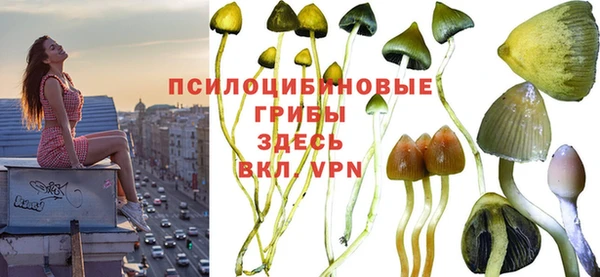 шишки Ельня