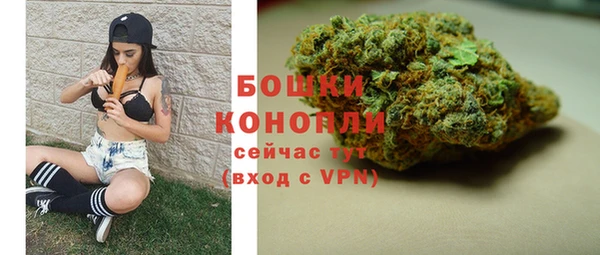 шишки Ельня