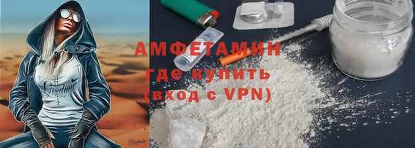 шишки Ельня