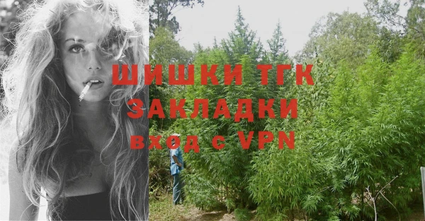 шишки Ельня
