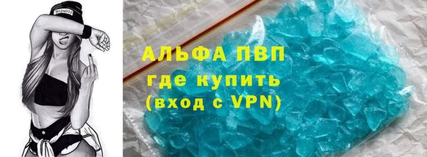 шишки Ельня
