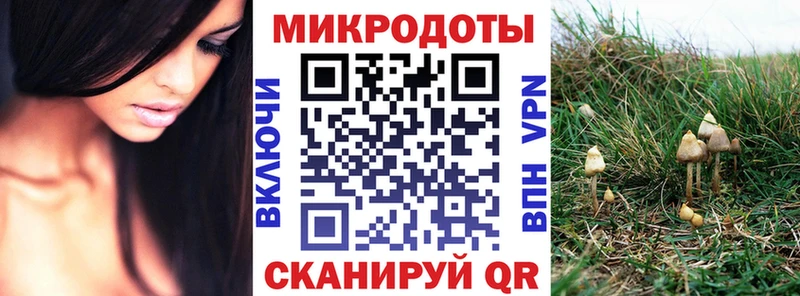 Купить где  Дюртюли  Псилоцибиновые грибы Psilocybe 